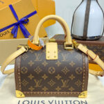 Louis Vuitton Speedy Trunk 20 Monogram M11154 Brown